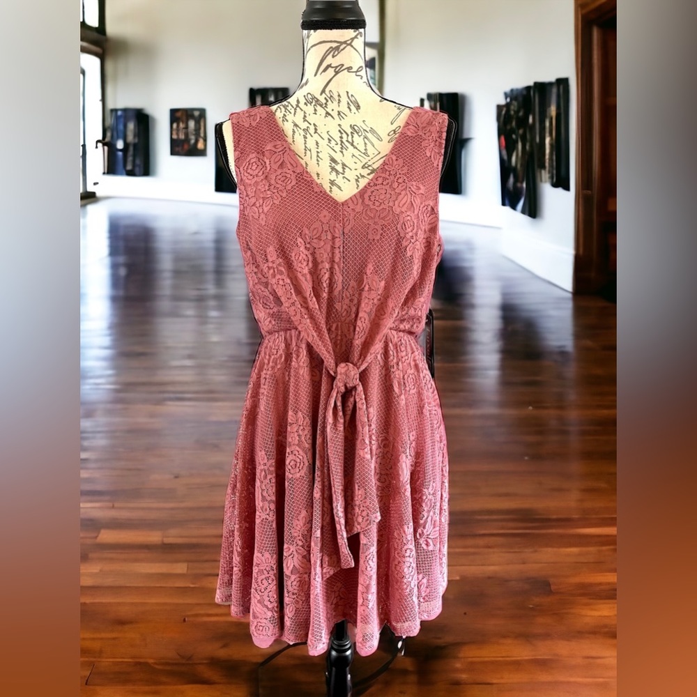 NWT Luxology Lace Tie Front Mini Fit & Flare Pink Rose Dress, Sz Medium 8 Lined